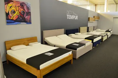 Senpo Sp. z o.o. Sp. k.